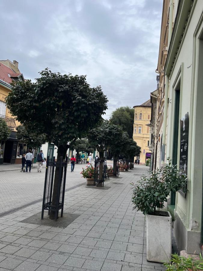 Wiener Garden Győr Extérieur photo